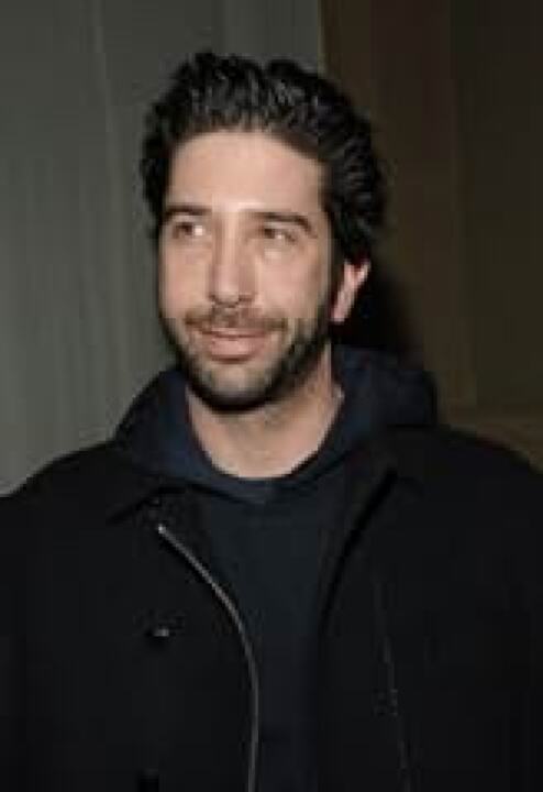 David Schwimmer - Photo 8